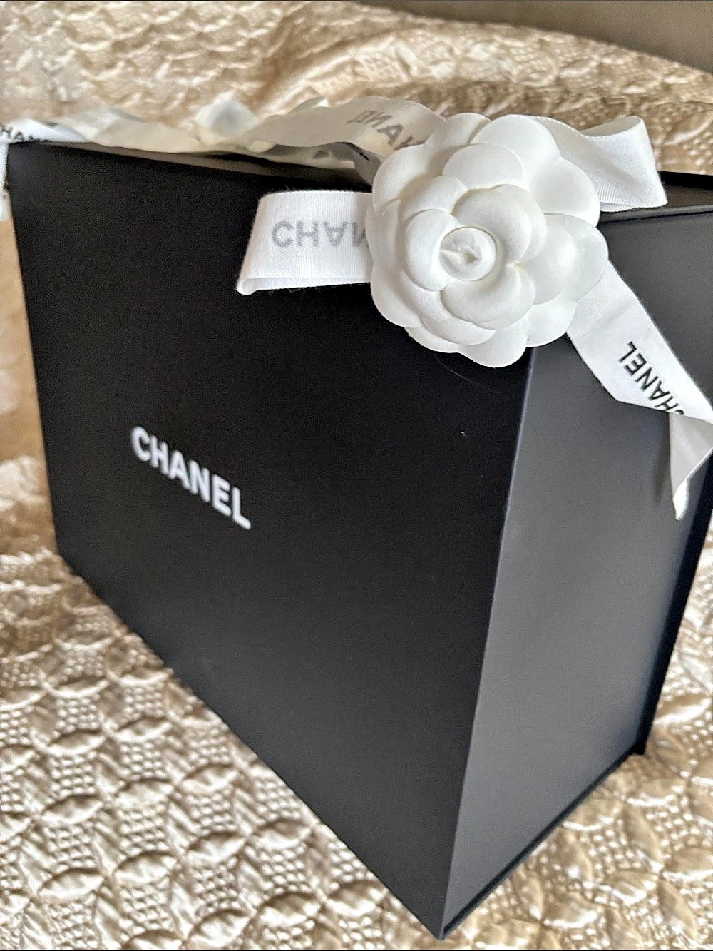 Chanel large bag Box with Camellia Ribbon in Black & White